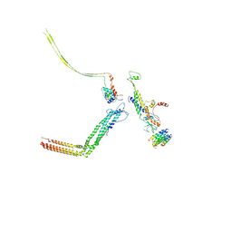 BU of 6iac by Molmil