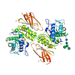 BU of 6ibm by Molmil