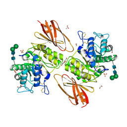 BU of 6ibt by Molmil