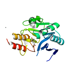 BU of 6ibv by Molmil