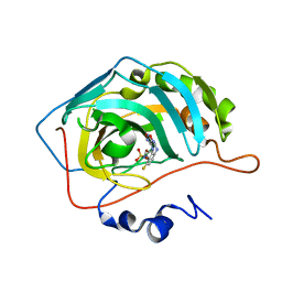 BU of 6ic2 by Molmil