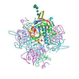 BU of 6ic5 by Molmil