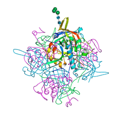 BU of 6ic6 by Molmil