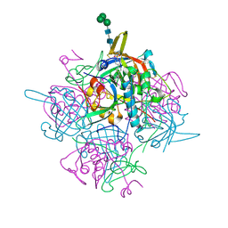 BU of 6ic7 by Molmil