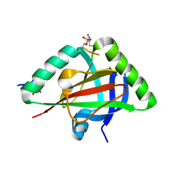 BU of 6ic8 by Molmil