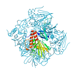 BU of 6icl by Molmil