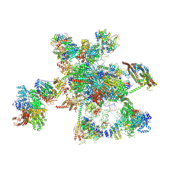 BU of 6icz by Molmil