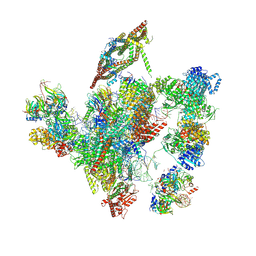 BU of 6id1 by Molmil