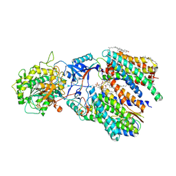 BU of 6idf by Molmil