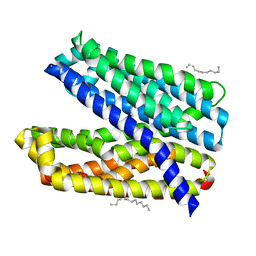 BU of 6ids by Molmil