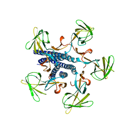 AU of 6iee by Molmil