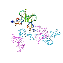 AU of 6ief by Molmil
