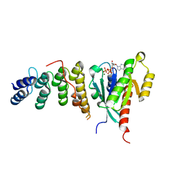 BU of 6if3 by Molmil