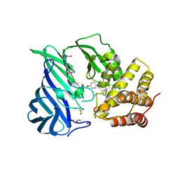 BU of 6ifg by Molmil