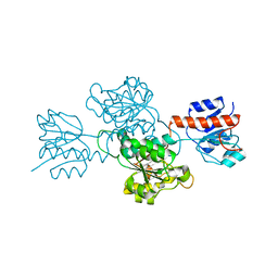 BU of 6ih2 by Molmil