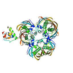 BU of 6ihc by Molmil