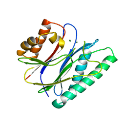 BU of 6ihv by Molmil