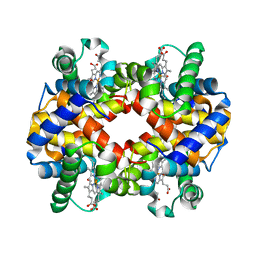 BU of 6ihx by Molmil