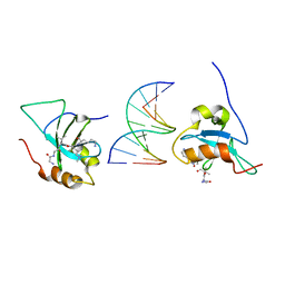 BU of 6iit by Molmil