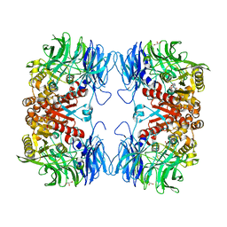 BU of 6ikg by Molmil