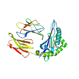 BU of 6ilc by Molmil