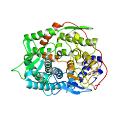 BU of 6imv by Molmil