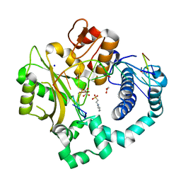 BU of 6ipd by Molmil