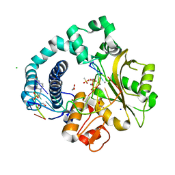 BU of 6ipf by Molmil