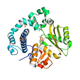 BU of 6ipi by Molmil