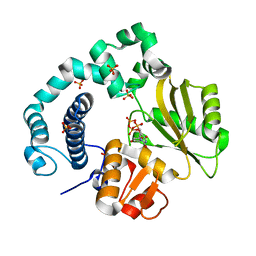 BU of 6ipj by Molmil