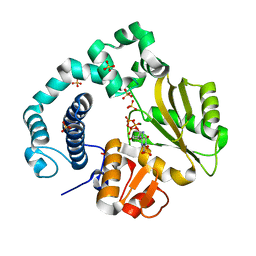 BU of 6ipn by Molmil