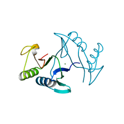 AU of 6ipt by Molmil