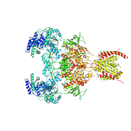 BU of 6irh by Molmil