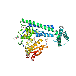 BU of 6is0 by Molmil