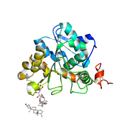 BU of 6isp by Molmil