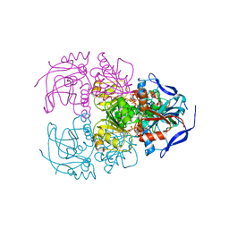 BU of 6isv by Molmil