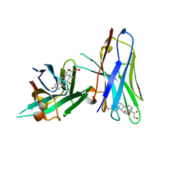 BU of 6itp by Molmil