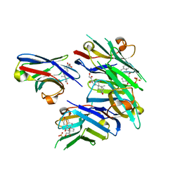 BU of 6itq by Molmil