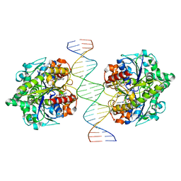 BU of 6iud by Molmil