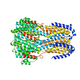 BU of 6iv2 by Molmil