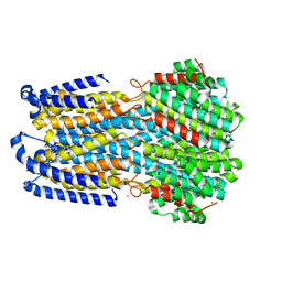 BU of 6iv3 by Molmil