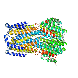 BU of 6ivm by Molmil