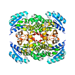 AU of 6iwl by Molmil