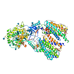 BU of 6iyc by Molmil