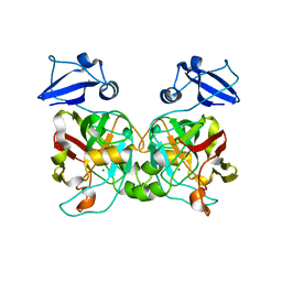 BU of 6iym by Molmil