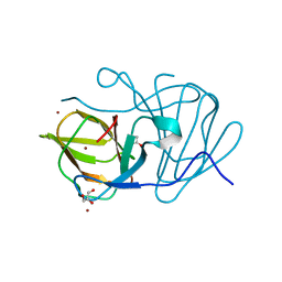 BU of 6j4c by Molmil