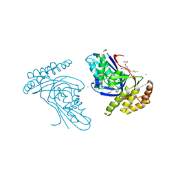 BU of 6jbc by Molmil