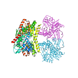 BU of 6jbi by Molmil