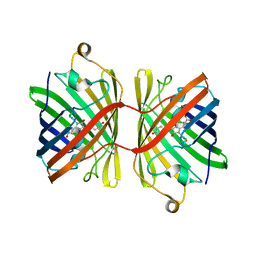 BU of 6jc6 by Molmil