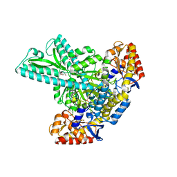 BU of 6jca by Molmil